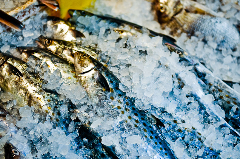 Fish in Chinatown